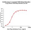 elisa-flp120246 fzd6 strep elisa1