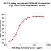 elisa-flp120309 gpr4 strep elisa1