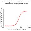 elisa-flp120313 gpr6 strep elisa1