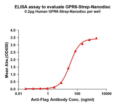 elisa-flp120313 gpr6 strep elisa1