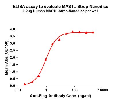 elisa-flp120344 mas1l strep elisa1