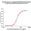elisa-flp120361 nk3r strep elisa1