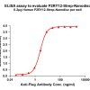 elisa-flp120437 p2ry12 strep elisa1