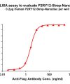 elisa-flp120437 p2ry12 strep elisa1