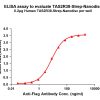 elisa-flp120473 tas2r38 strep elisa1