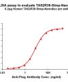 elisa-flp120473 tas2r38 strep elisa1