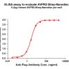 elisa-flp120492 avpr2 strep elisa1