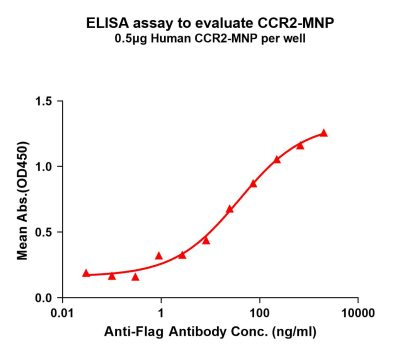 elisa-flp200028 ccr2 elisa1