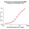 elisa-flp200032 slc25a4 elisa1