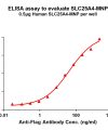 elisa-flp200032 slc25a4 elisa1