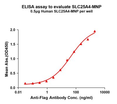 elisa-flp200032 slc25a4 elisa1