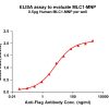 elisa-flp200087 mlc1 elisa1
