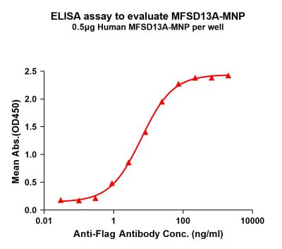 elisa-flp200106 mfsd13a elisa1