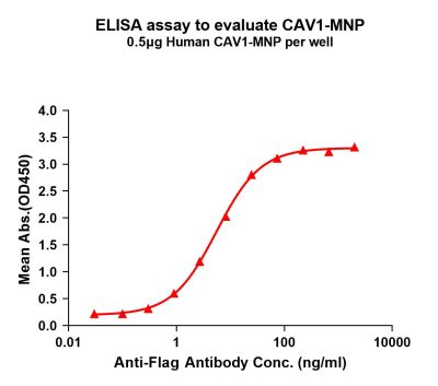 elisa-flp200142 cav1 elisa1