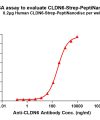 elisa-flp420008 cldn6 strep elisa1