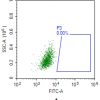 fc-FLP100017 CLDN18.2 Fig.2A FC 1
