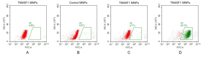 fc-FLP100021 TM4SF1 Fig.2 FC 1