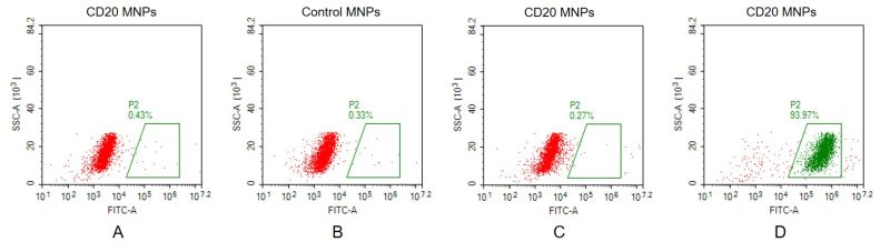 fc-FLP100026 CD20 Fig.2 FC 1