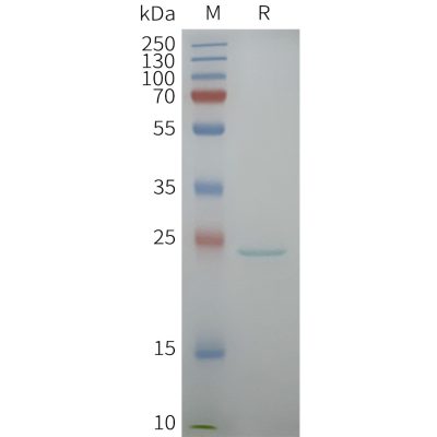 page-flp100158 aqp5 sp1