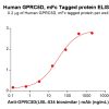 sp-PME100559 GPRC5D Fig.3 Elisa 2