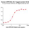 elisa-PME100677 GPRC5D hFc→DM91 ELISA Fig2