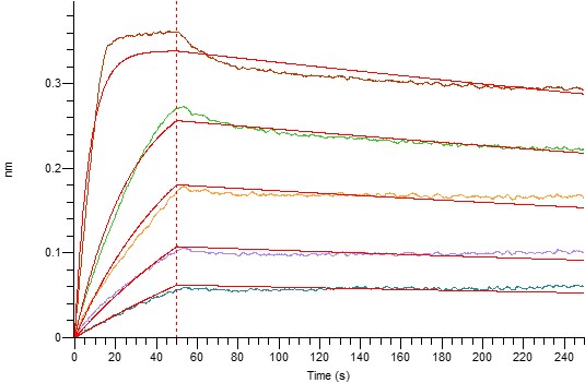 PME30037-CS19-P60568-ELISA-0.jpg