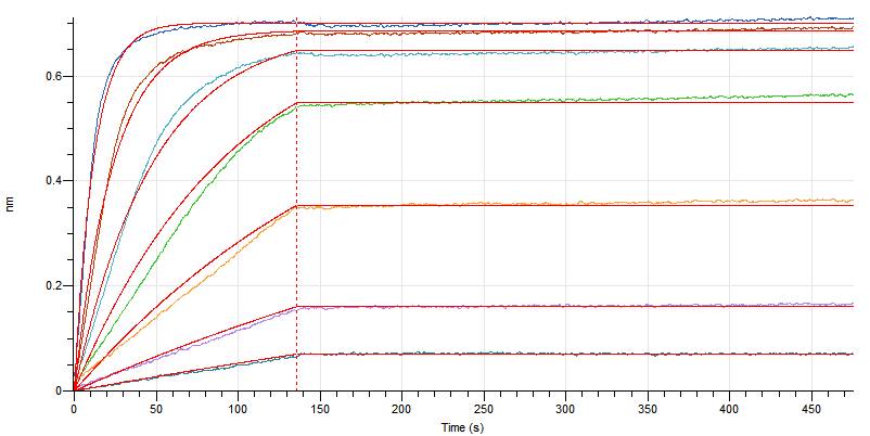 PME30068-C01H-P05112-ELISA-0.jpg