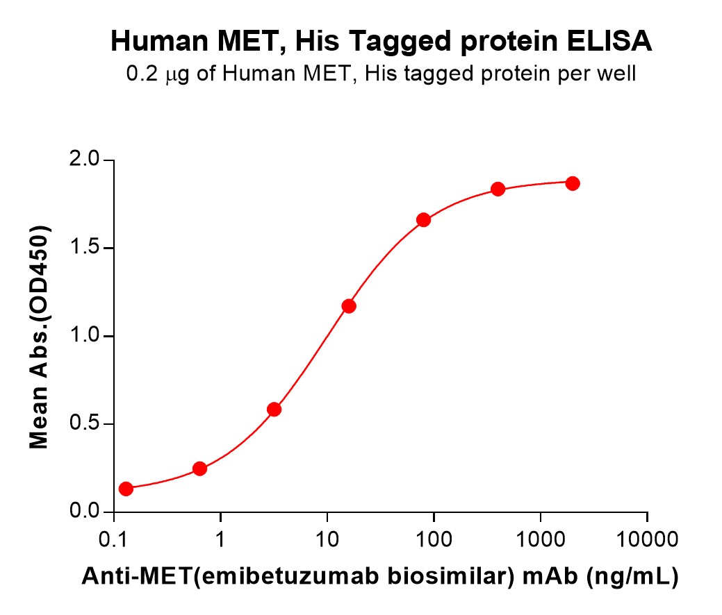 pme101405-met-elisa1.jpg