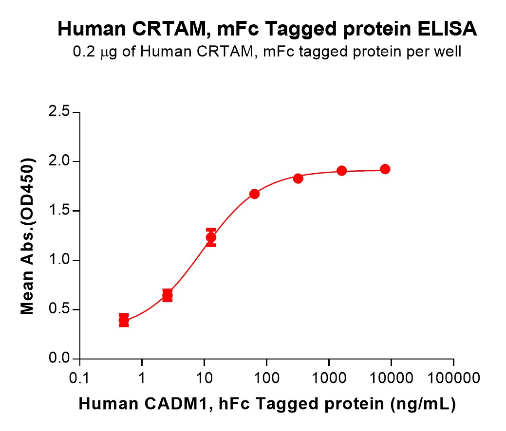 pme101547-crtam-elisa1.jpg