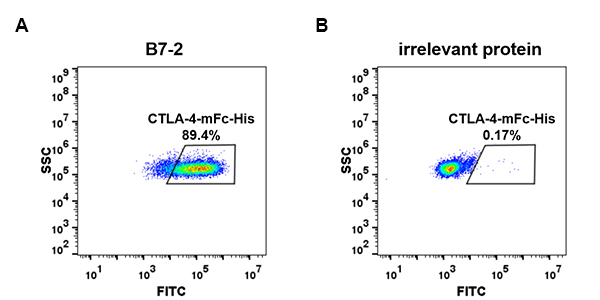 fc-PME100017 CTLA4 mFc His FC Fig5