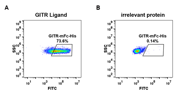 PME100019-GITR-mFc-His-FC-Fig2.jpg