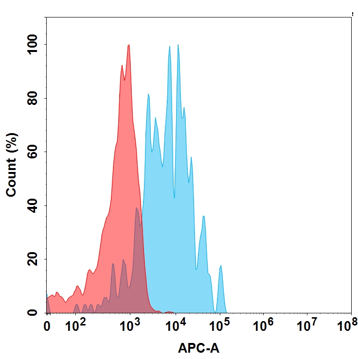 PME100024-SLAMF1-mFc-His-FAC-TransfectedWithSLAMF1-Fig.2.jpg