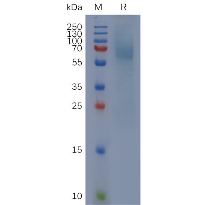 sp-pme c100005 ighe sp1