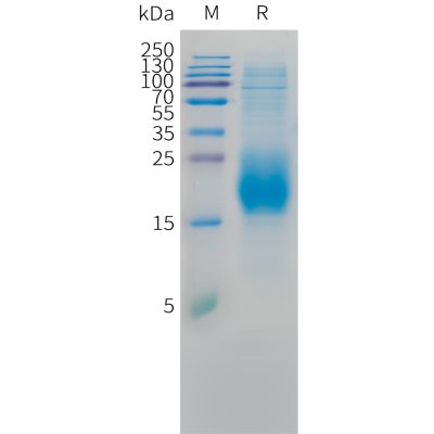 sp-pme c100053 cd3d sp1