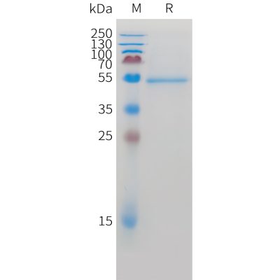 sp-pme c100058 ror2 sp1