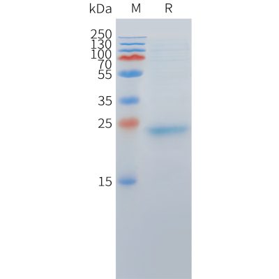 sp-pme c100062 dll3 sp1 1