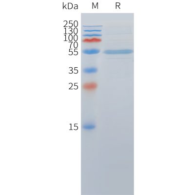sp-pme c100063 dll3 sp1 1