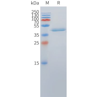 sp-pme c100064 dll3 sp1