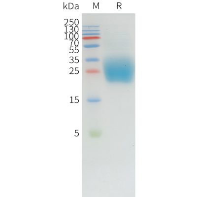 sp-pme d100005 pd 1 sp1