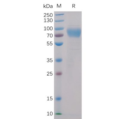 sp-pme100010 2b4 sp1