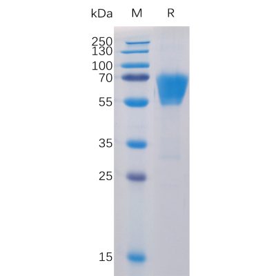 sp-pme100013 cd27 sp1