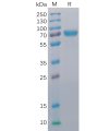 sp-pme100015 cd40 sp1