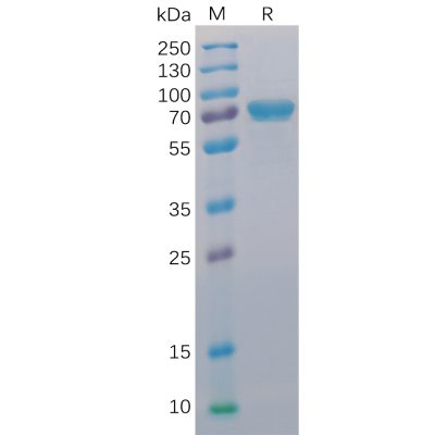 sp-pme100015 cd40 sp1