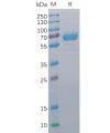 sp-pme100016 cd48 sp1