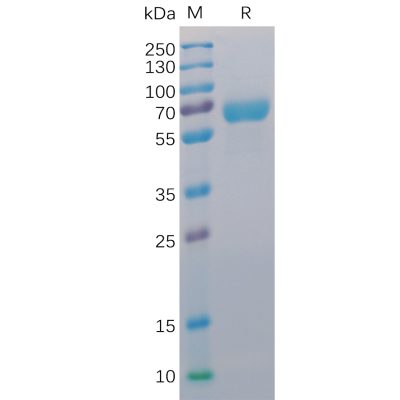 sp-pme100016 cd48 sp1