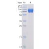 sp-pme100024 slamf1 sp1