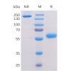 sp-pme100056 btn3a1 sp1