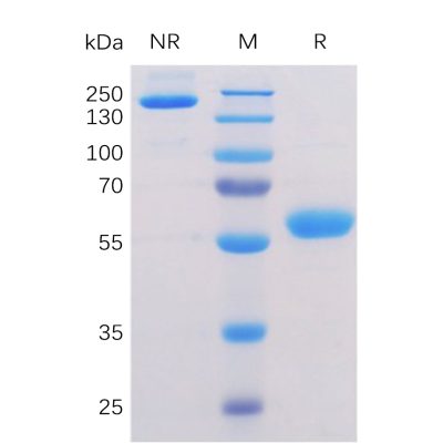 sp-pme100056 btn3a1 sp1