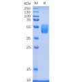 sp-pme100084 psca sp1