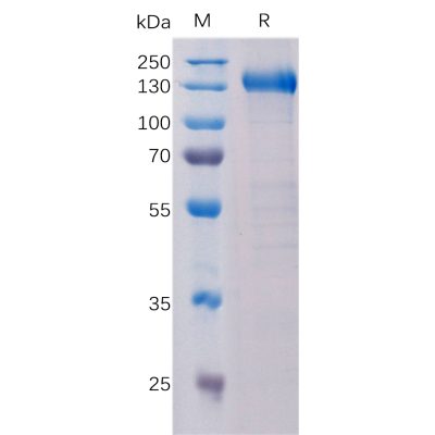 sp-pme100086 ptk7 sp1